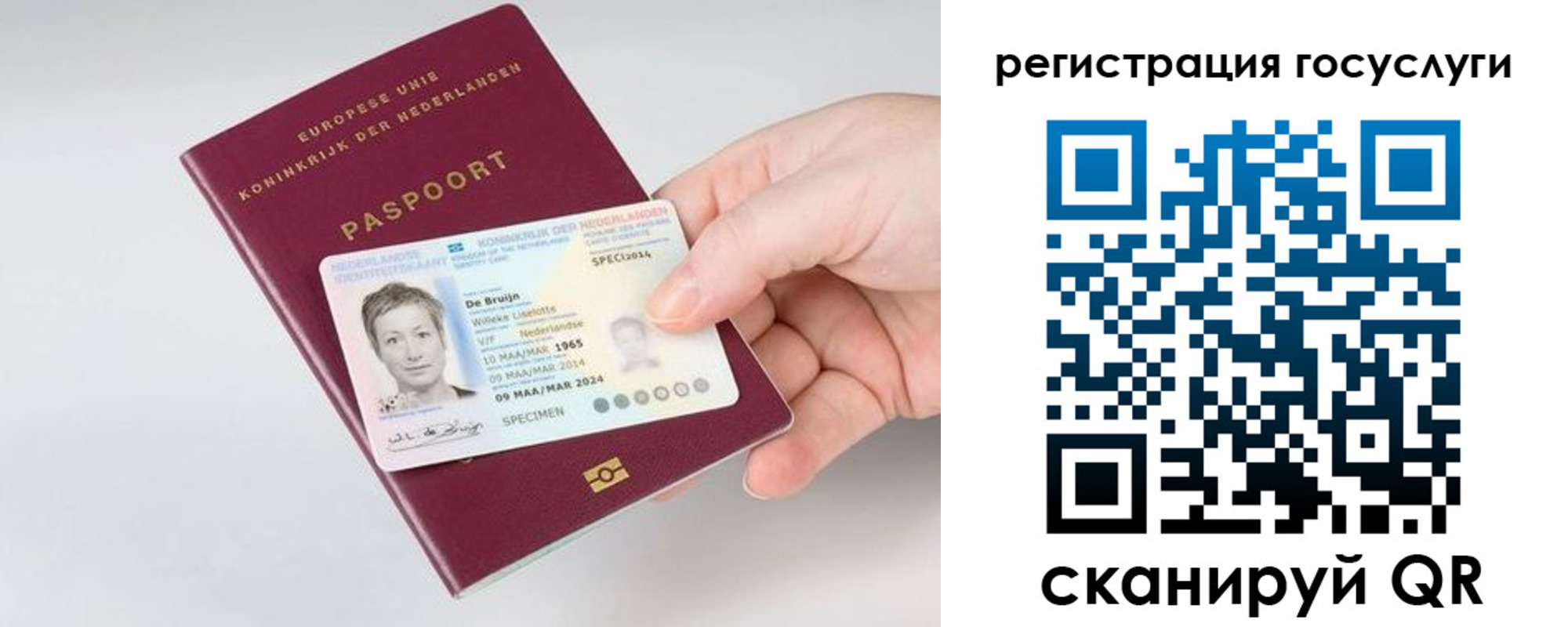 регистрация для дет. сада в Новомосковске